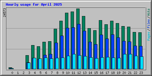 Hourly usage for April 2025