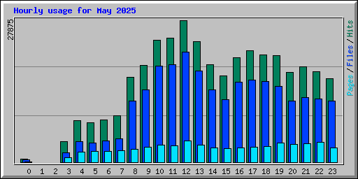 Hourly usage for May 2025