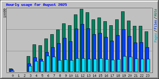 Hourly usage for August 2025