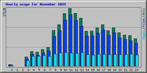 Hourly usage for November 2025