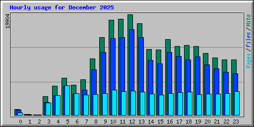 Hourly usage for December 2025