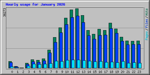 Hourly usage for January 2026